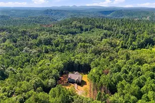 590 Old Shyers Ford Rd, Talking Rock, GA 30175 - Photo 3