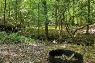 590 Old Shyers Ford Rd, Talking Rock, GA 30175 - Photo 43