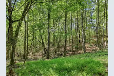 590 Old Shyers Ford Road, Talking Rock, GA 30175 - Photo 51