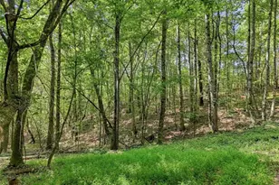 590 Old Shyers Ford Rd, Talking Rock, GA 30175 - Photo 51
