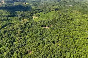 590 Old Shyers Ford Rd, Talking Rock, GA 30175 - Photo 49