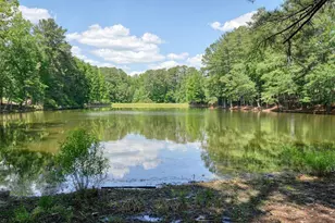 14127 Seabiscuit, Milton, GA 30004 - Photo 93