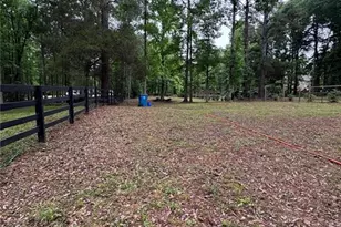219 Lynn Rd, Bethlehem, GA 30620 - Photo 11