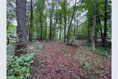 219 Lynn Road, Bethlehem, GA 30620 - Photo 5