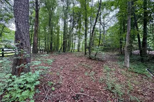 219 Lynn Rd, Bethlehem, GA 30620 - Photo 5