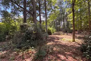115 Emerald Ln, Hampton, GA 30228 - Photo 29