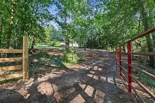 462 Wall Bridge Rd, Clarkesville, GA 30523 - Photo 5