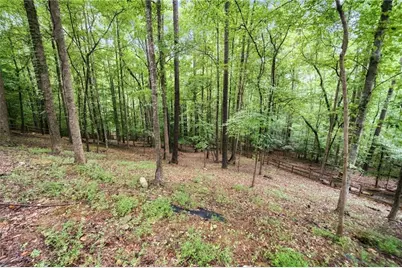 700 Settlers Crossing, Canton, GA 30114 - Photo 87