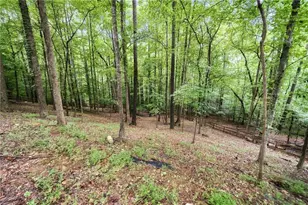 700 Settlers Crossing, Canton, GA 30114 - Photo 81