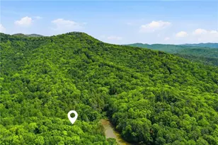 1564 Big Ben Rd, Ellijay, GA 30540 - Photo 43