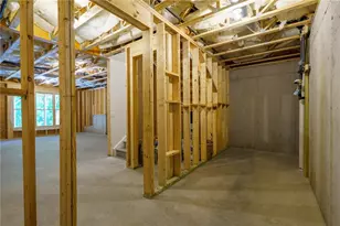 323 Reese Wy, Ball Ground, GA 30107 - Photo 17