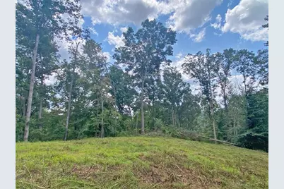 3.3Ac Trillium Trail, Dahlonega, GA 30533 - Photo 3