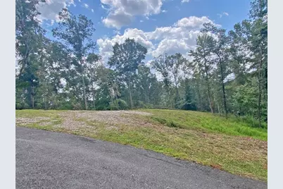 3.3Ac Trillium Trail, Dahlonega, GA 30533 - Photo 7