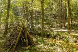 20 Bear Trail, Ellijay, GA 30540 - Photo 83
