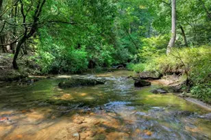 20 Bear Trail, Ellijay, GA 30540 - Photo 43