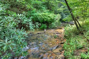 20 Bear Trail, Ellijay, GA 30540 - Photo 87