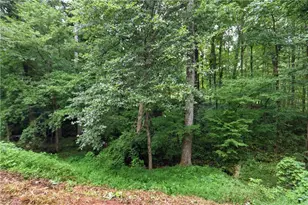 10283 Freehome Hwy, Canton, GA 30115 - Photo 31