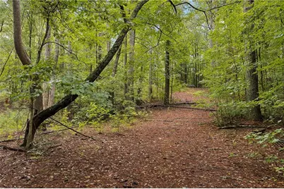 1736 Harmony Grove Church Road, Acworth, GA 30101 - Photo 21