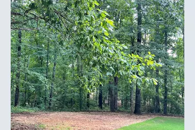 260 New Hope Drive, McDonough, GA 30252 - Photo 23