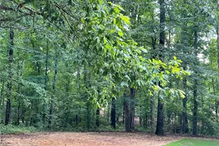 260 New Hope Dr, McDonough, GA 30252 - Photo 23