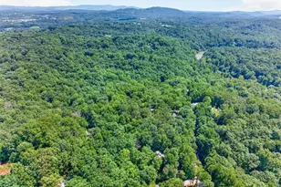 10 Esker Ct, Ellijay, GA 30540 - Photo 63