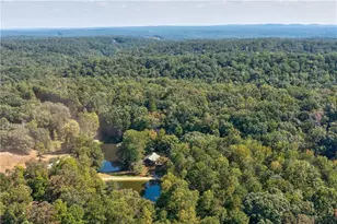 434 Mill Creek Dr, Dawsonville, GA 30534 - Photo 59