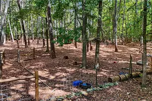1290 Moreland Rd, Williamson, GA 30292 - Photo 71
