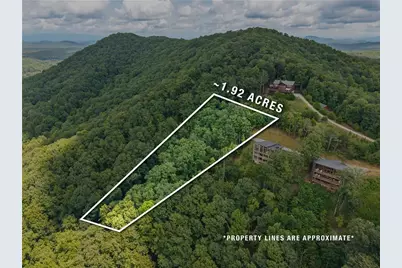 32 Raven Ridge, Mineral Bluff, GA 30559 - Photo 1