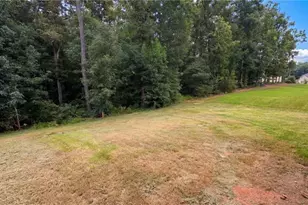 321 Basel Way, Hampton, GA 30228 - Photo 43