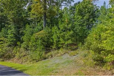 0 Harris Creek Drive, Ellijay, GA 30540 - Photo 9