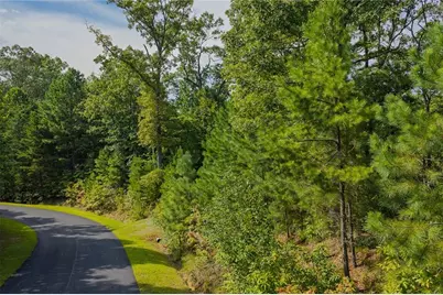 0 Harris Creek Drive, Ellijay, GA 30540 - Photo 7