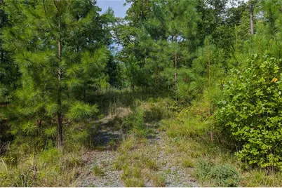 0 Harris Creek Drive, Ellijay, GA 30540 - Photo 3