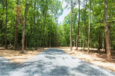 0 Roosevelt Hwy - Lot 2, Warm Springs, GA 31830 - Photo 5