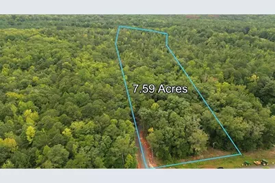 0 Roosevelt Hwy - Lot 2, Warm Springs, GA 31830 - Photo 3