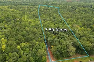 0 Roosevelt Hwy, Warm Springs, GA 31830 - Photo 3