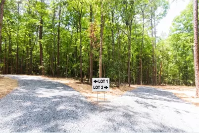 0 Roosevelt Hwy - Lot 1, Warm Springs, GA 31830 - Photo 3