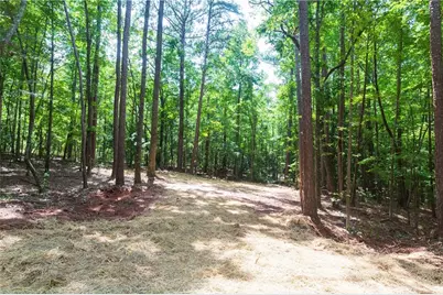 0 Roosevelt Hwy - Lot 1, Warm Springs, GA 31830 - Photo 5