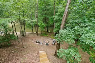 322 Honeysuckle Way, Blue Ridge, GA 30513 - Photo 37