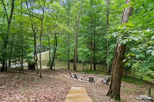322 Honeysuckle Way, Blue Ridge, GA 30513 - Photo 43