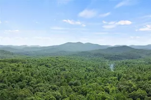 322 Honeysuckle Way, Blue Ridge, GA 30513 - Photo 41