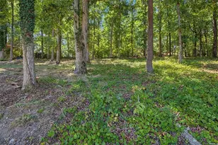 4069 Anthony Creek Dr, Loganville, GA 30052 - Photo 33