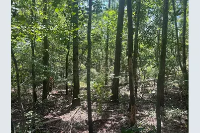111 Riversong (Tract 26), Carrollton, GA 30117 - Photo 5