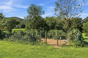 1673 Rackley Rd, Ellijay, GA 30536 - Photo 61