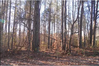 0 Bartlett Circle, Bowdon, GA 30108 - Photo 1
