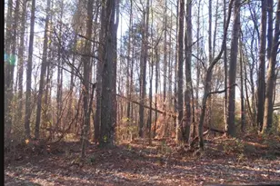 0 Bartlett Circle, Bowdon, GA 30108 - Photo 1