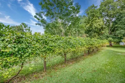 2067 Cleveland Road, Bogart, GA 30622 - Photo 15