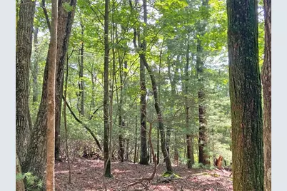10.59 Ac, T S Jarrard Road, Dahlonega, GA 30533 - Photo 15