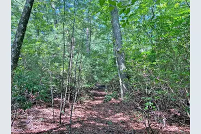10.59 Ac, T S Jarrard Road, Dahlonega, GA 30533 - Photo 5
