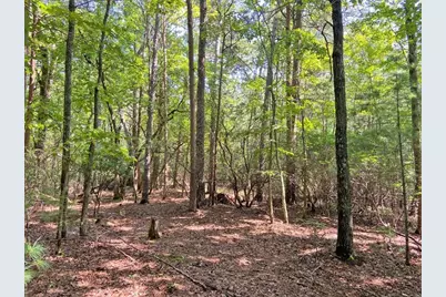 10.59 Ac, T S Jarrard Road, Dahlonega, GA 30533 - Photo 9