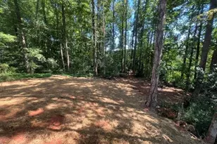296 Stonington Dr, Mount Airy, GA 30563 - Photo 23